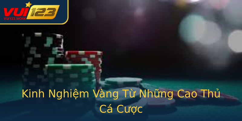 Kinh Nghiệm Vàng Từ Những Cao Thủ Cá Cược Kinh Nghiệm Vàng Từ Những Cao Thủ Cá Cược